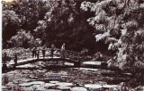 R-7996 ORADEA - Baile ,,Victoria&#039;&#039; Lacul cu nuferi, 1962