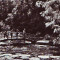 R-7996 ORADEA - Baile ,,Victoria&#039;&#039; Lacul cu nuferi, 1962