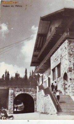 R-8031 PALTINIS , CIRCULAT 1963 foto