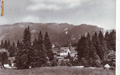 R 8412 TIMISUL DE SUS- Piatra Mare NECIRCULATA foto