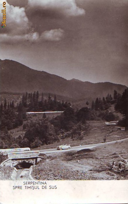 R 8414 TIMISUL DE SUS- serpentina CIRCULATA