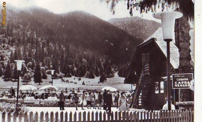 R-8073 POIANA BRASOV-Cabana ,,Capra Neagra&amp;#039;&amp;#039;, CIRCULAT foto