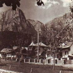 R-8085 POIANA TAPULUI-Vedere spre Bucegi, 1958