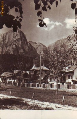 R-8085 POIANA TAPULUI-Vedere spre Bucegi, 1958 foto R-8085 POIANA TAPULUI-Vedere spre Bucegi, 1958 foto