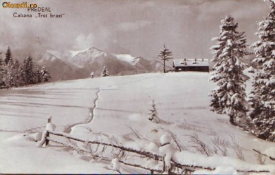 R-8110 PREDEAL-Cabana ,,Trei brazi&amp;#039;&amp;#039;, 1960 foto