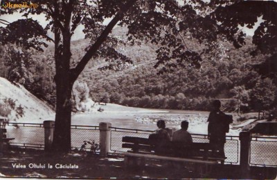 R 8489 Valea OLTULUI la CACIULATA CIRCULATA foto