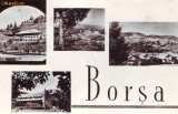 R-8183 BORSA,CIRCULAT 1962