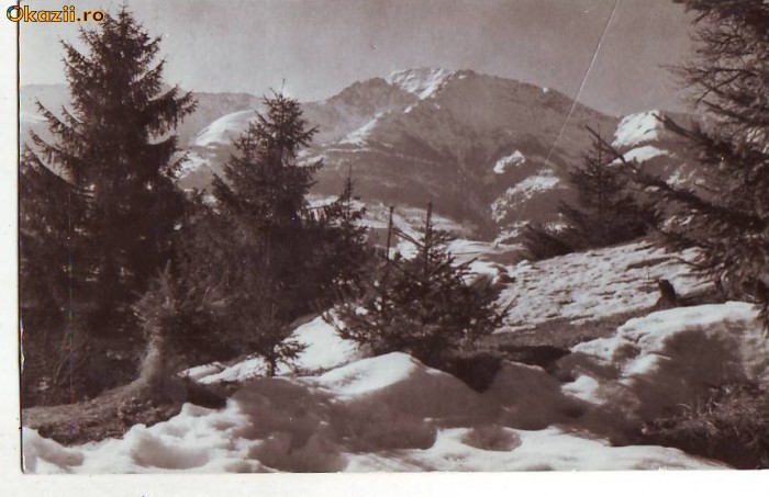 R-8190 MUNTII RODNEI-Spre Pietrosul, CIRCULAT R-8190 MUNTII RODNEI-Spre Pietrosul, CIRCULAT