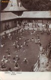 R 4845 ORADEA Baile Victoria -Strandul CIRCULATA