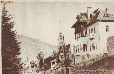 R 7068 SINAIA-VEDERE CIRCULATA foto