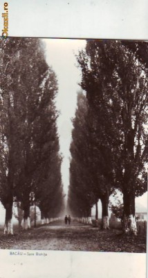 R 7181 BACAU- SPRE BISTRITA CIRCULATA foto