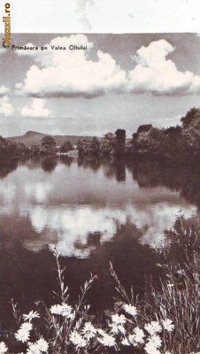 R 8499 Valea OLTULUI Primavara CIRCULATA . foto