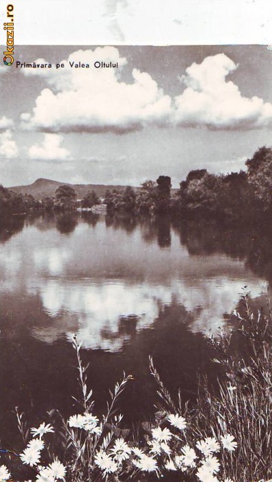 R 8499 Valea OLTULUI Primavara CIRCULATA .