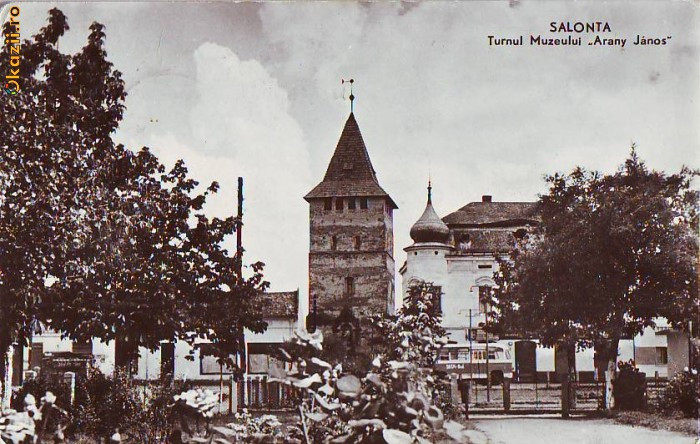 R 8198 SALONTA- Turnul Muzeului Arany Janos CIRCULATA