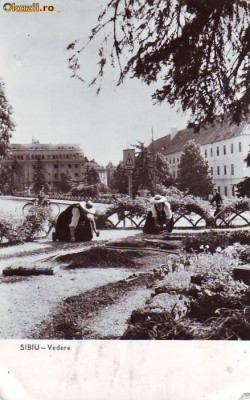 R 8218 VEDERE -Sibiu CIRCULATA foto