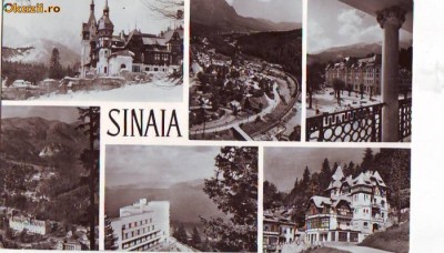 R 8238 Vedere SINAIA CIRCULATA foto