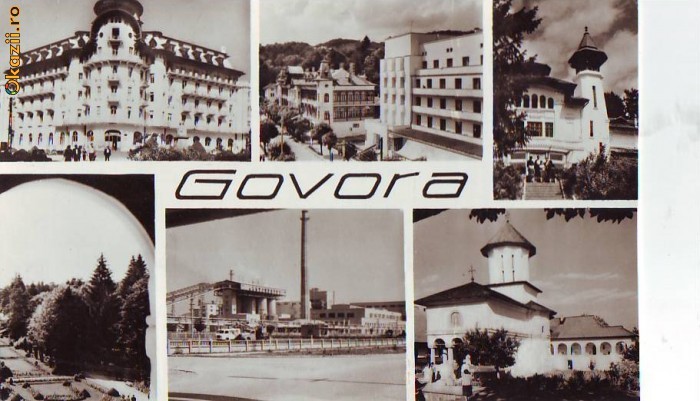 S 3642 Vedere GOVORA NECIRCULATA