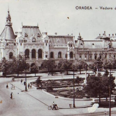 R 7980 ORADEA -Piata Victoriei CIRCULATA