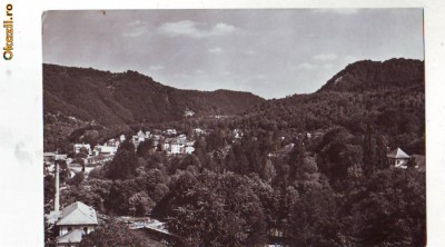 R 7958 OLANESTI-VEDERE CIRCULATA foto