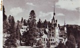 R 8244 SINAIA- Muzeul Peles CIRCULATA