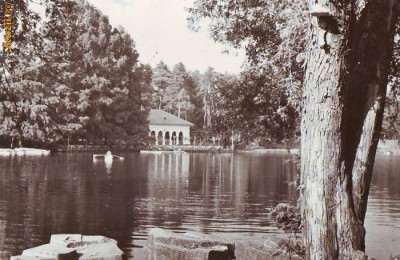 R 7659 CRAIOVA -Parcul poporului CIRCULATA foto
