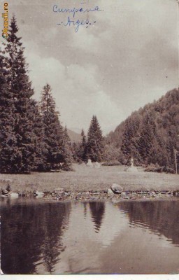 R 7671 CUMPANA-ARGES-Vedere CIRCULATA foto
