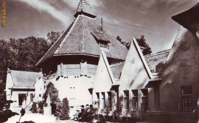R-7232 BAILE VATA DE JOS, CIRCULAT 1966 foto
