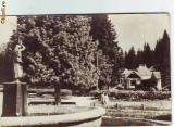 R-7252 BORSEC-Vedere din parc, CIRCULAT 1957
