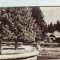R-7252 BORSEC-Vedere din parc, CIRCULAT 1957