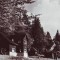 R-7307 MUNTII BUCEGI-Cabana Poiana Stanii, CIRCULAT