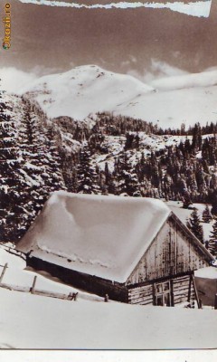 R-7337 MUNTII BUCEGI-Stana din valea Ialomitei, NECIRCULAT foto