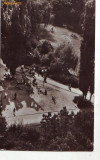 R-7397 BUCURESTI-Gradina Cismigiu, CIRCULAT 1961