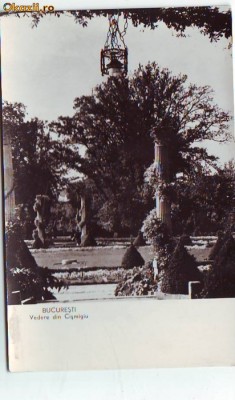 R-7422 BUCURESTI- Cismigiu, NECIRCULAT foto