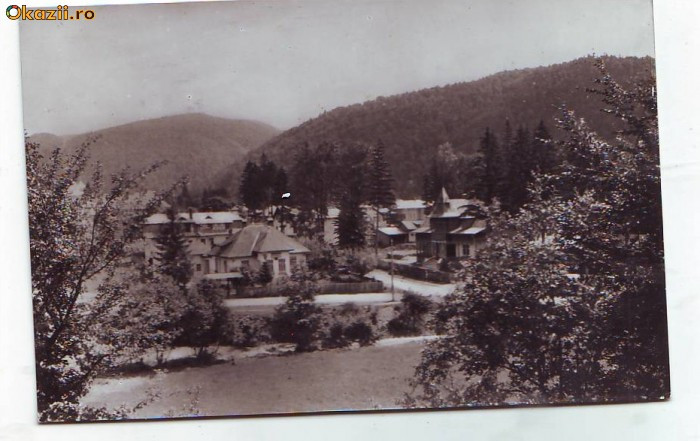 R-7436 BUSTENI, CIRCULAT 1958 R-7436 BUSTENI, CIRCULAT 1958