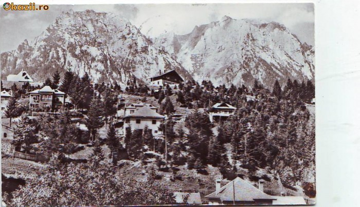 R-7439 BUSTENI-Spre muntii Bucegi, CIRCULAT 1963 R-7439 BUSTENI-Spre muntii Bucegi, CIRCULAT 1963