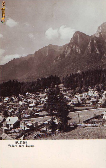 R-7449 BUSTENI-Spre muntii Bucegi, NECIRCULAT R-7449 BUSTENI-Spre muntii Bucegi, NECIRCULAT
