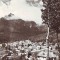 R-7446 BUSTENI, CIRCULAT 1959