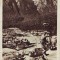 R-7440 BUSTENI-Muntii Bucegi, CIRCULAT