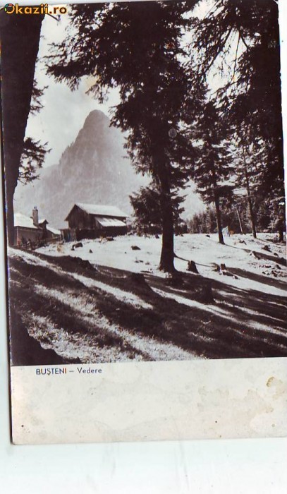 R-7447 BUSTENI, CIRCULAT 1960 R-7447 BUSTENI, CIRCULAT 1960