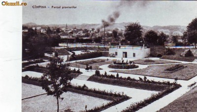 R-7535 CAMPINA-Parcul pionerilor,1959 foto