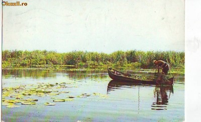 S-3032 DELTA DUNARII, CIRCULAT foto