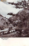 R-8542 BAILE HERCULANE-Valea Cernei, CIRCULAT 1962