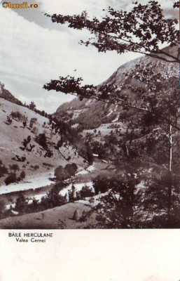 R-8542 BAILE HERCULANE-Valea Cernei, CIRCULAT 1962 foto