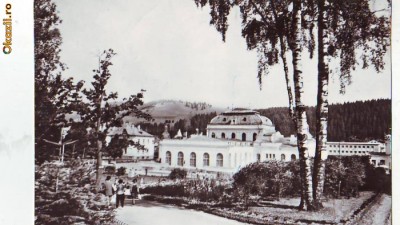 R-8603 VATRA DORNEI-Pavilionul central al bailor, 1964 foto