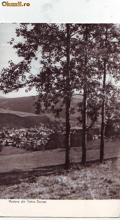 R-8623 VATRA DORNEI, CIRCULAT 1964