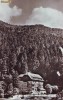 R-8568 TIMISUL DE JOS- Casa de odihna, 1965