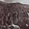 R-8568 TIMISUL DE JOS- Casa de odihna, 1965