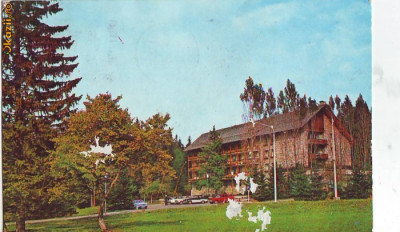 S 5727 POIANA BRASOV -Hotel Poiana CIRCULATA foto