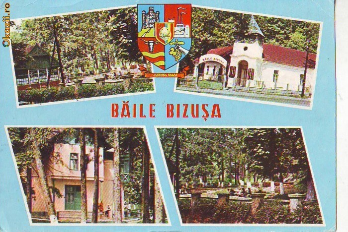 S 5802 BAILE BIZUSA SALAJ CIRCULATA