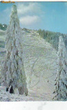 S 5876 Poiana Brasov peisaj de iarna CIRCULATA